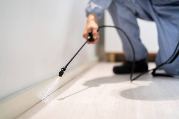 Licensed Bed Bug Control service in District Heights, MD - Nex Pest Control