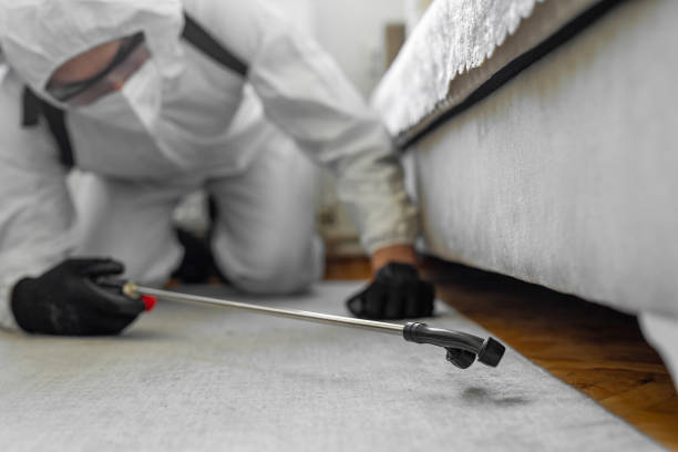 Professional Bed Bug Control technician working in District Heights, MD