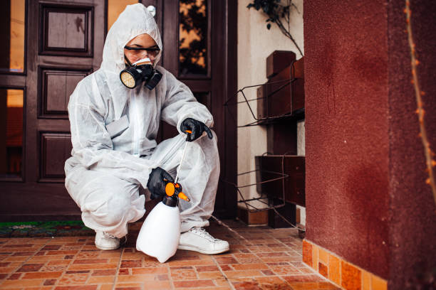 Reliable Bed Bug Control contractor in District Heights, MD by Nex Pest Control
