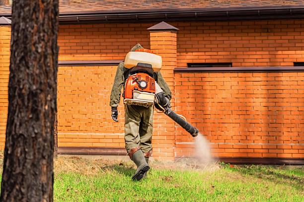 Trusted Cockroach Control service in District Heights, MD - Nex Pest Control